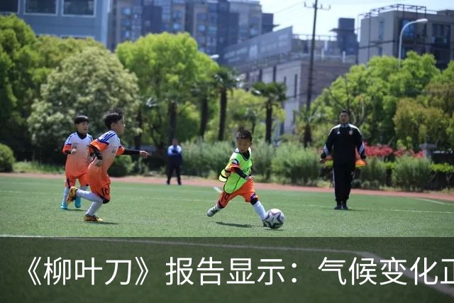 《柳叶刀》报告显示：气候变化正加速造成健康损害