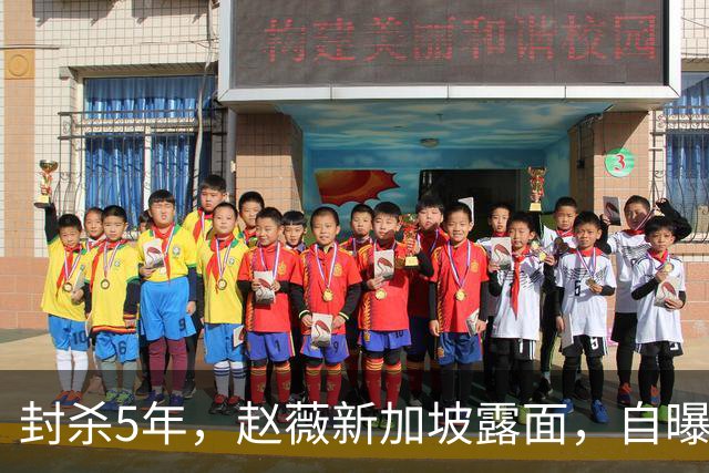 封杀5年，赵薇新加坡露面，自曝谋生手段，估计和你想的不一样