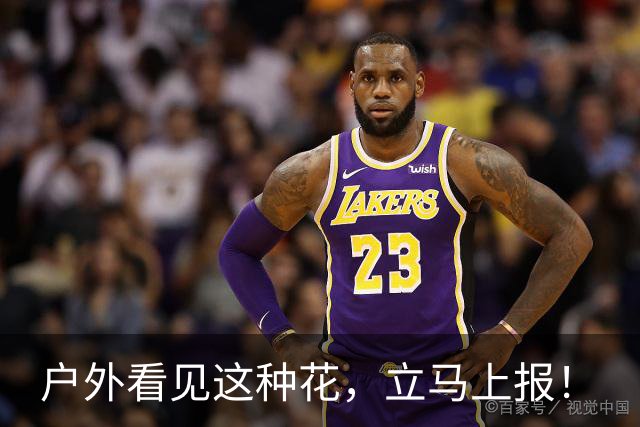 户外看见这种花，立马上报！