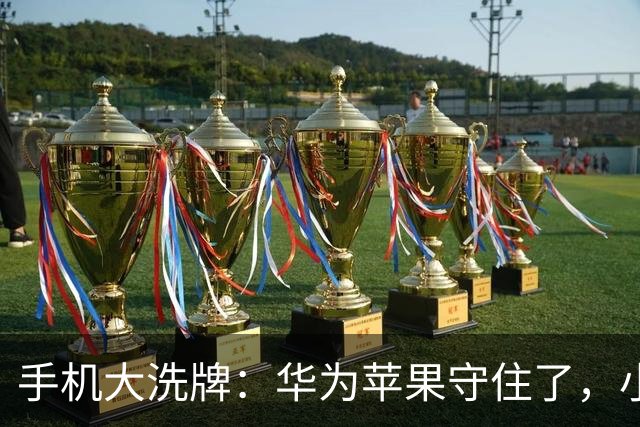 手机大洗牌：华为苹果守住了，小米OV换打法
