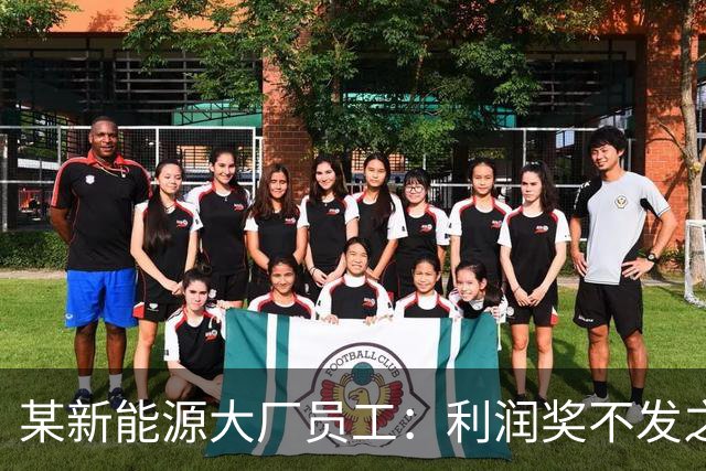 某新能源大厂员工：利润奖不发之后，确诊抑郁了
