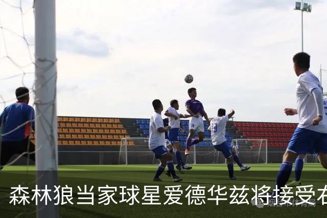 森林狼当家球星爱德华兹将接受右膝关节镜手术，预计伤停两个月，会对他的职业生涯有多大影响？球队阵容会如何调整？