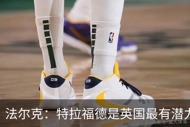 法尔克：特拉福德是英国最有潜力门将，未来肯定是英格兰一门