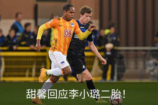 甜馨回应李小璐二胎！