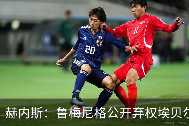 赫内斯：鲁梅尼格公开弃权埃贝尔投票没必要