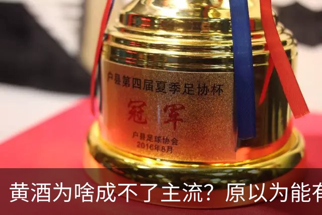 黄酒为啥成不了主流？原以为能有共鸣，谁料评论一边倒